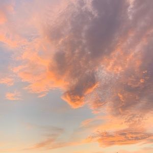 Meet your Posher, Angeline